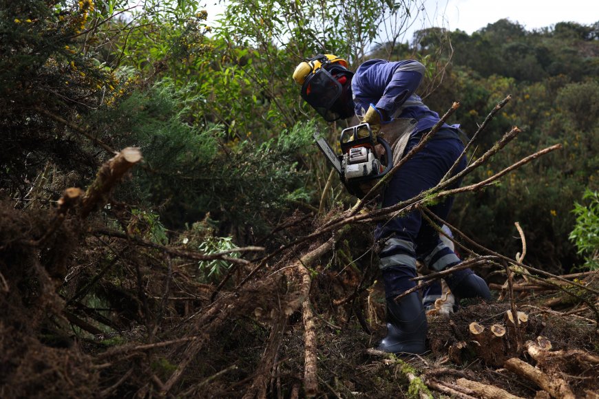 El escuadrón que se anticipa a combatir incendios forestales