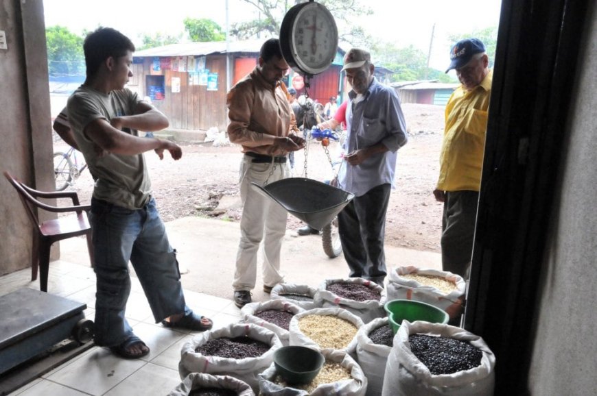 “Nos toca hacer de tripas corazón”: el 86,8% de los nicaragüenses no pueden comprar la canasta básica