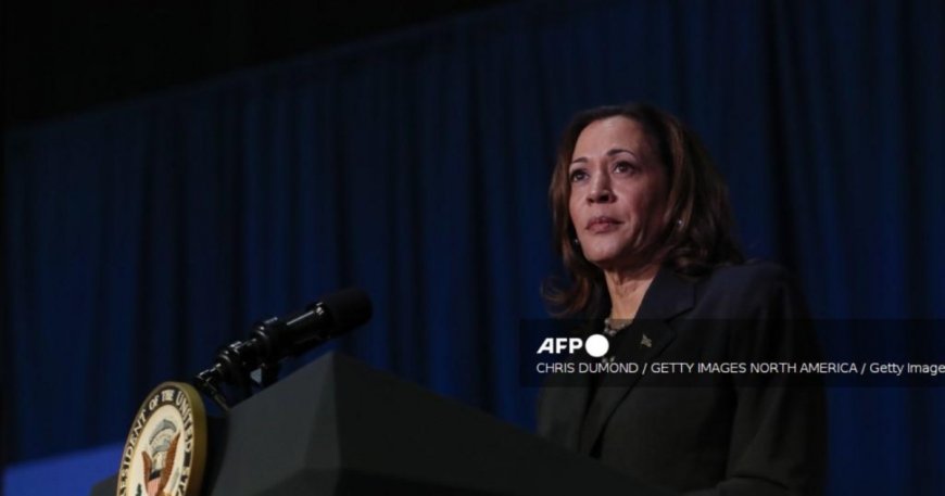 ¿Kamala Harris sí podrá ser elegida candidata? Debate  | La FM