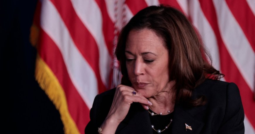 ¿Puede Kamala Harris derrotar a Trump? ENCUESTAS  | La FM